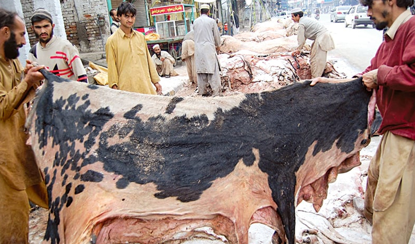 Pakistan’s leather industry hit by drop in hide prices