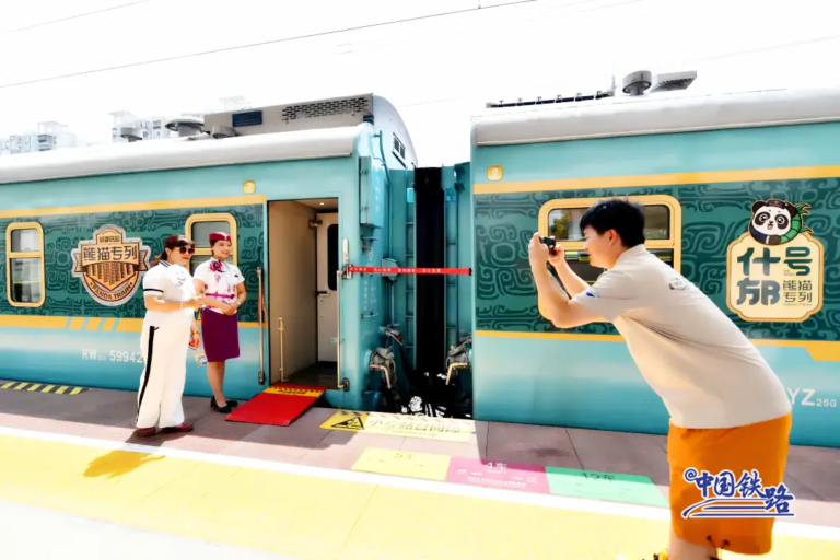 "Panda train" in China brings new travel experience to tourists