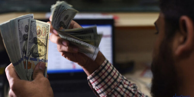 foreign exchange reserves