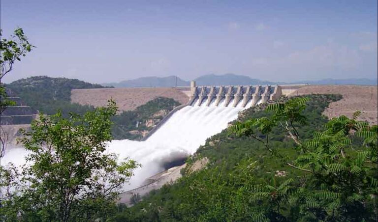 Water and Power Development Authority (WAPDA)