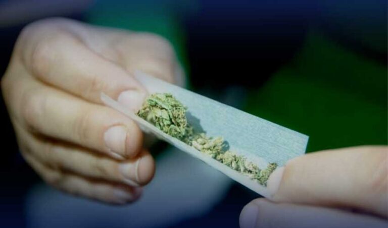 Daily Cannabis Users Surpass Alcohol Consumers in the US
