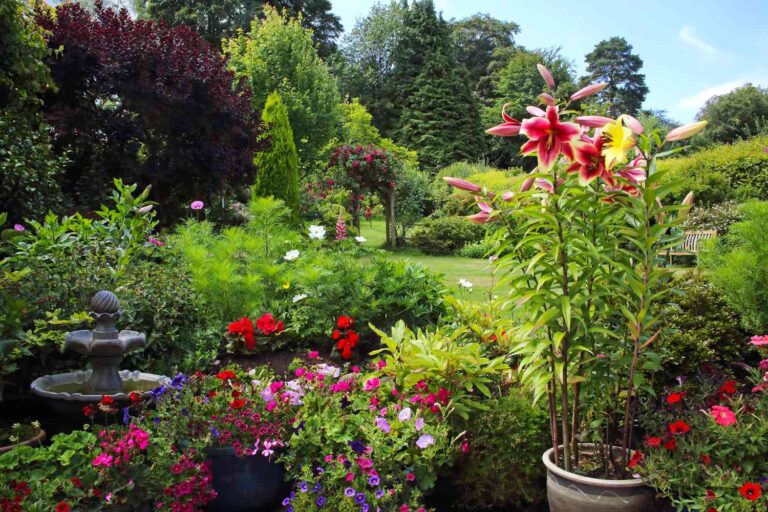 4 Popular Plants