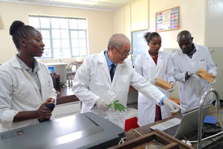 China firmly walks side by side with Africa on path to modernization