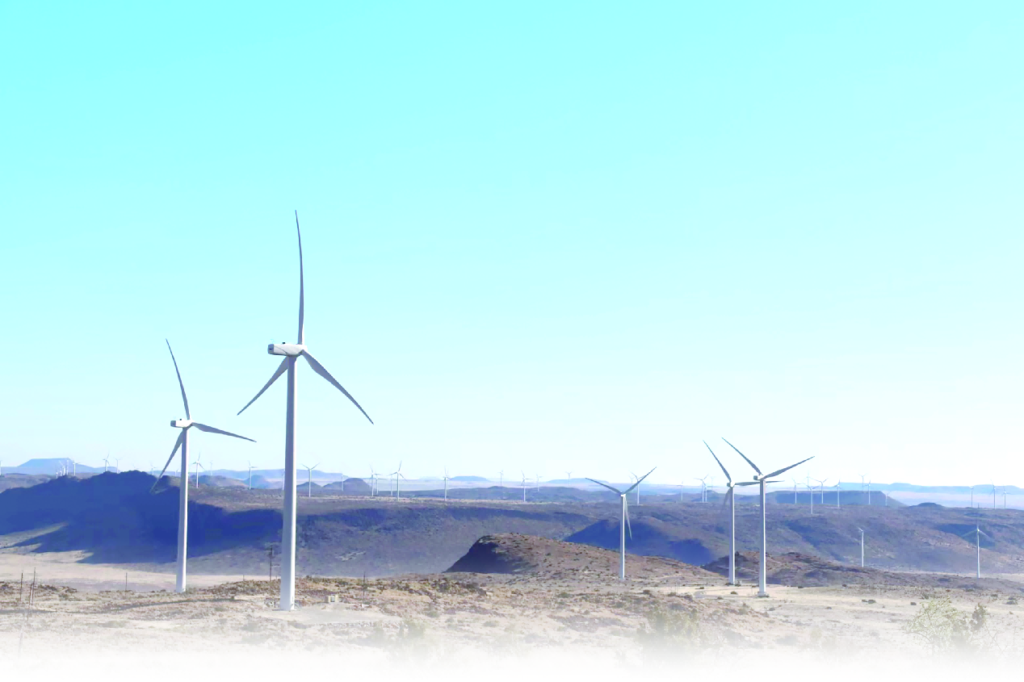 China-Africa cooperation leads to greener Africa