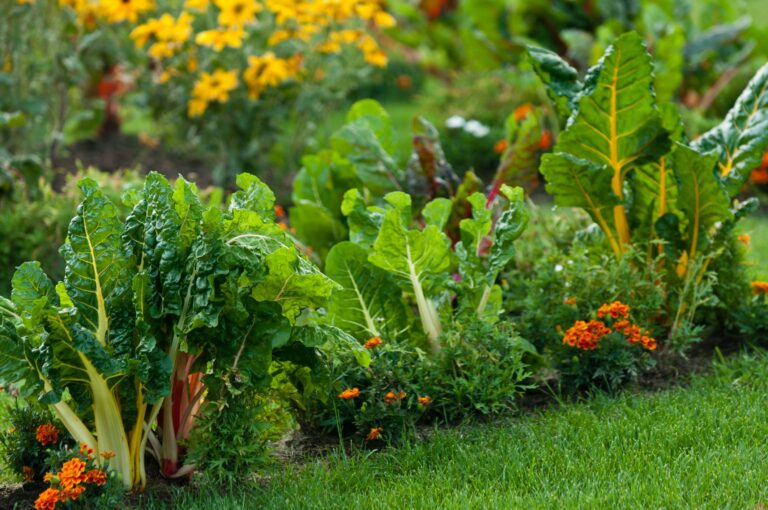 The Easiest Vegetables to Grow in Your Own Garden