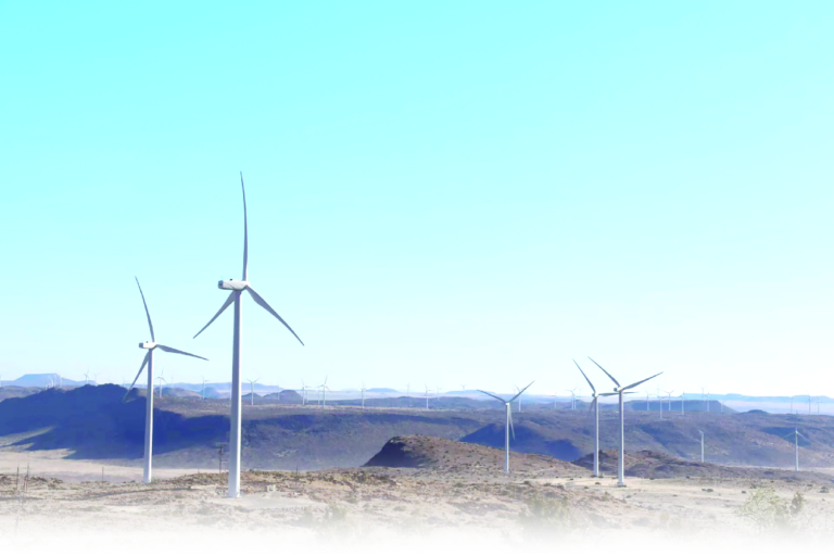 China-Africa cooperation leads to greener Africa