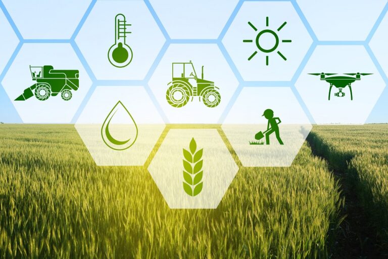 Strengthening Research and Development Efforts in Pakistan's Agricultural Sector
