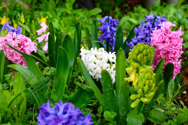 The Most Fragrant Flowers to Plant in Your Garden