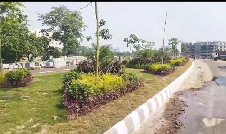 CBD Punjab Leads The Fight Against Smog With New