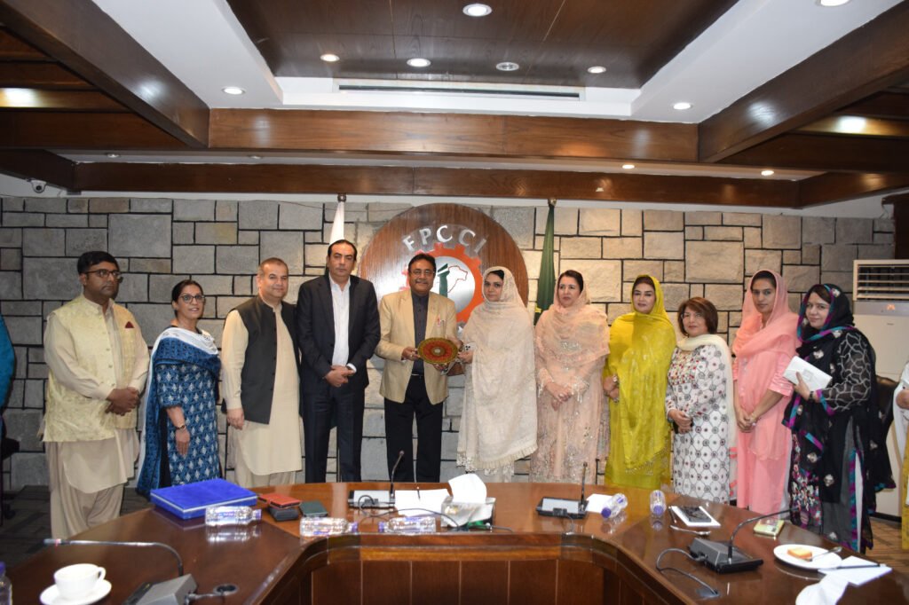Revision of Pakistan’s 2019 E-Commerce Policy: A Call for Action