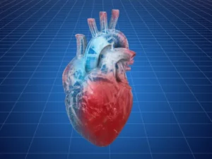 Insulin Resistance Linked to Dangerous Heart Disease