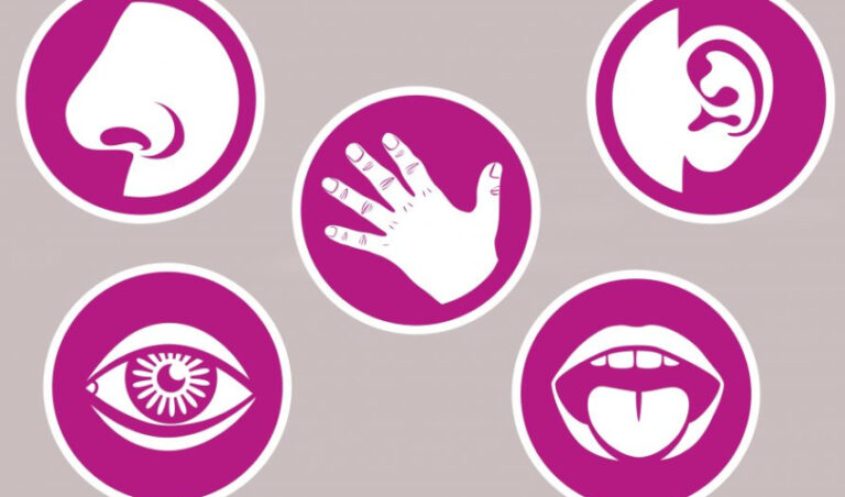 Scientists discover new human sense of touch