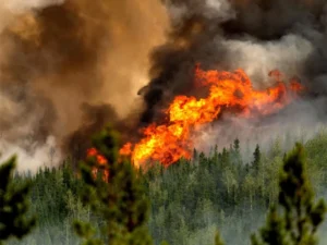 Pollution from Wildfires Linked to Mental Illness