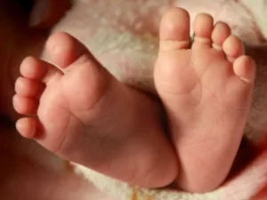 Couple Desires 12 Children to Represent All Chinese Zodiac Signs