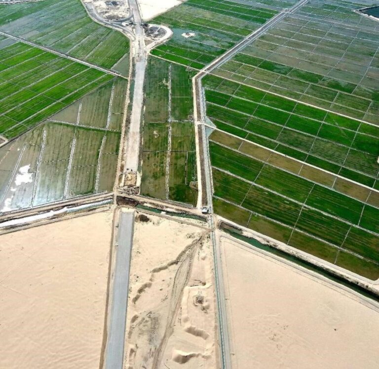 China makes remarkable progress in desertification