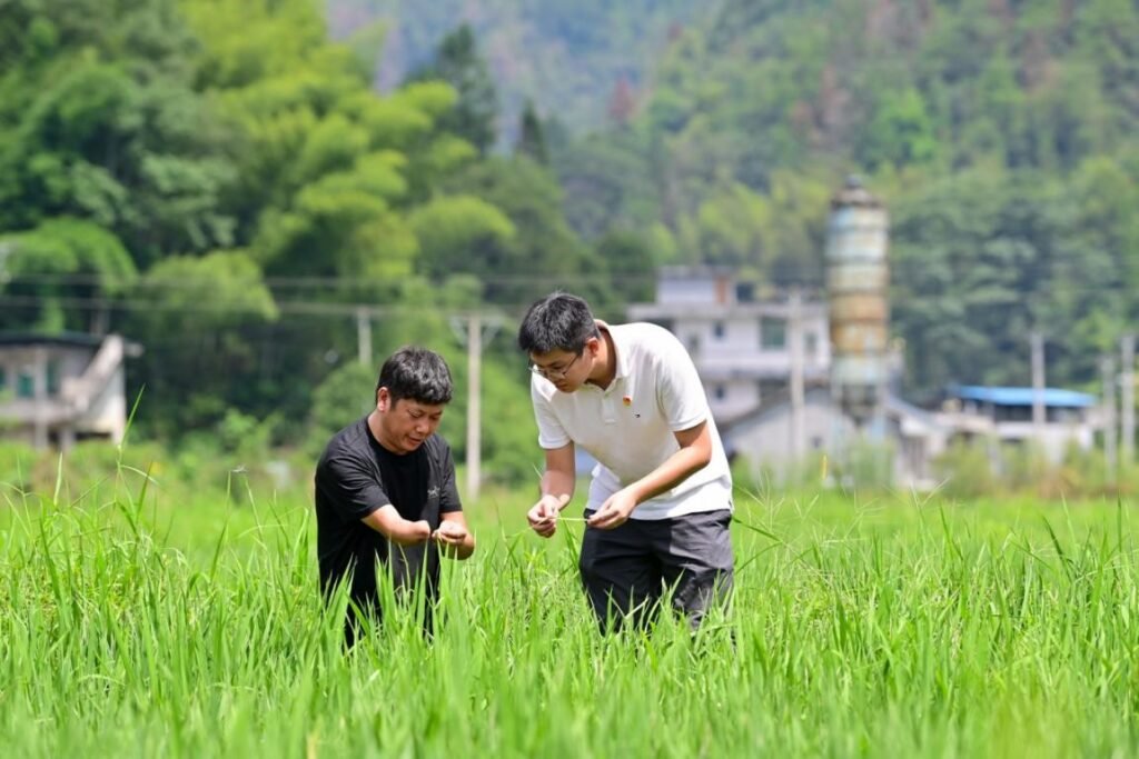 China follows targeted strategy in poverty alleviation, eliminates root causes of poverty through development