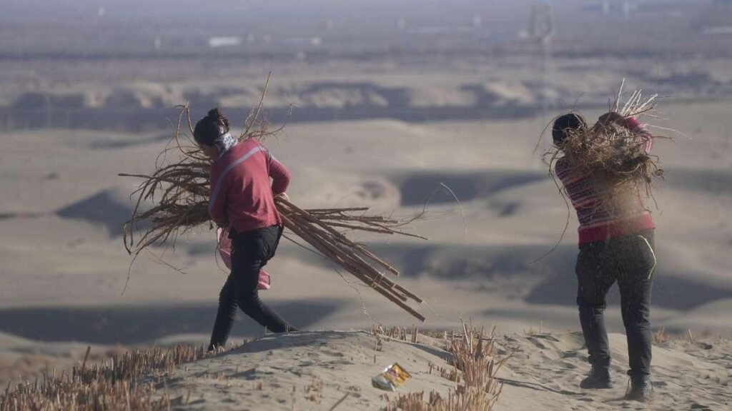 China makes new successes in desertification prevention and control