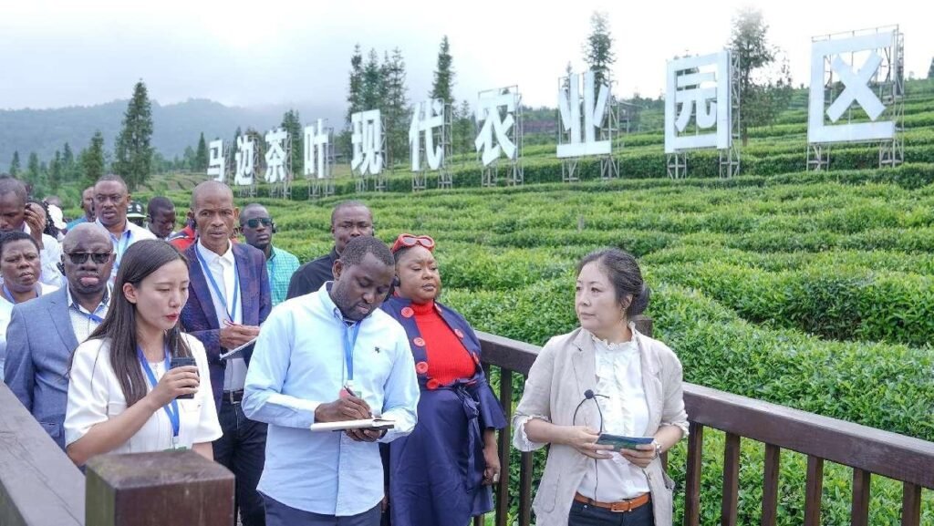 The global significance of China’s poverty alleviation theories and practices