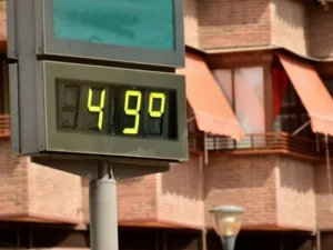 35% of Heat-Related Deaths Worldwide Were a Result