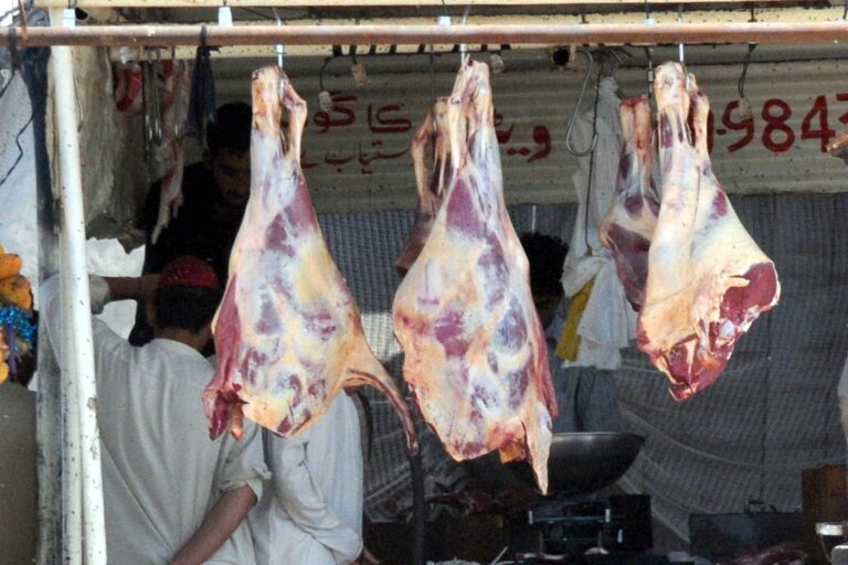 AC Mardan Enforces Meat Slaughtering Under Veterinary Supervision, Legal Action for Violators
