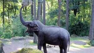 How Artificial Intelligence Saved Elephants' Lives