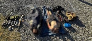 Eight Khwarij Killed in Two Separate Operations