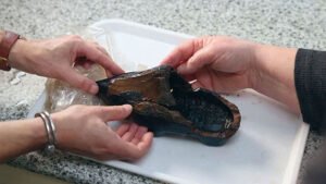 Netherlands Rare 500-Year-Old Wooden Shoe Discovered