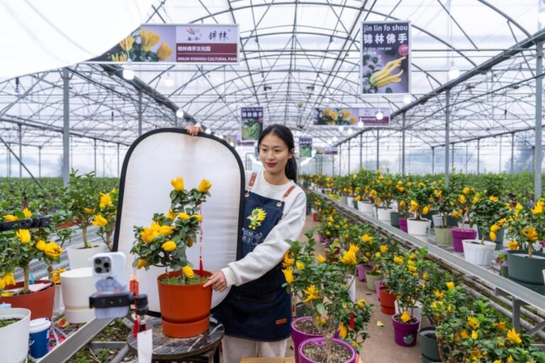 Agricultural innovators contributing to China's comprehensive rural