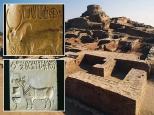 A $1 Million Offer to Solve the Mystery of the Harappan Civilization