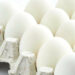 Egg Consumption Proven Beneficial for Elderly Individuals