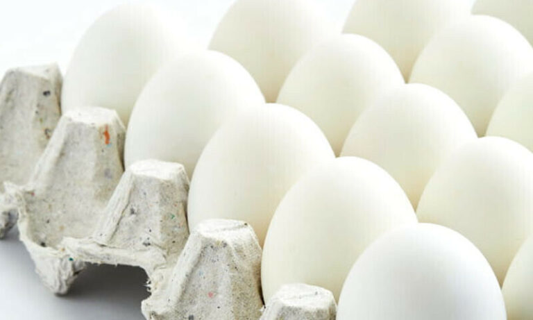Egg Consumption Proven Beneficial for Elderly Individuals