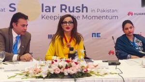 Experts calls for players to localised solar supply