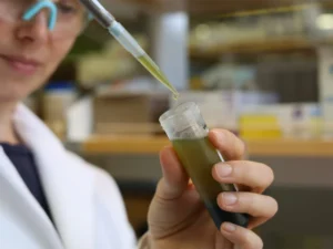 Method Discovered to Tackle Toxic 'Forever Chemicals'