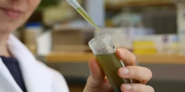 Method Discovered to Tackle Toxic 'Forever Chemicals'