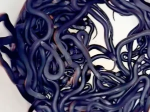 Over 100 Venomous Snakes Found in an Australian Home