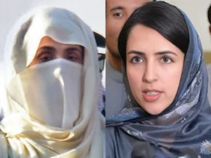 What Did Mishal Yousafzai Reveal About Bushra Bibi