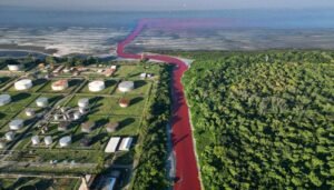 Why Did a Canal in Argentina Turn Red?