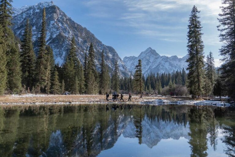 Giant pandas a golden signboard of Sichuan's ecotourism