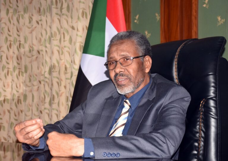 Sudan govt to defeat RSF militia with support of armed forces, people of Sudan: Ambassador