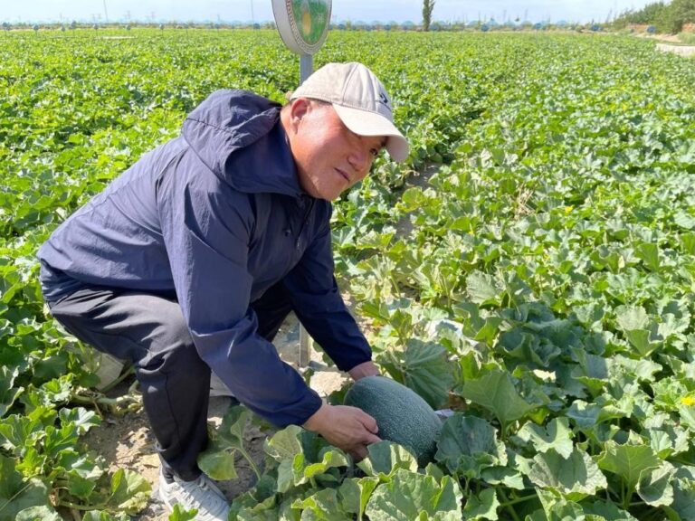 A 'sweet bond' on Silk Road