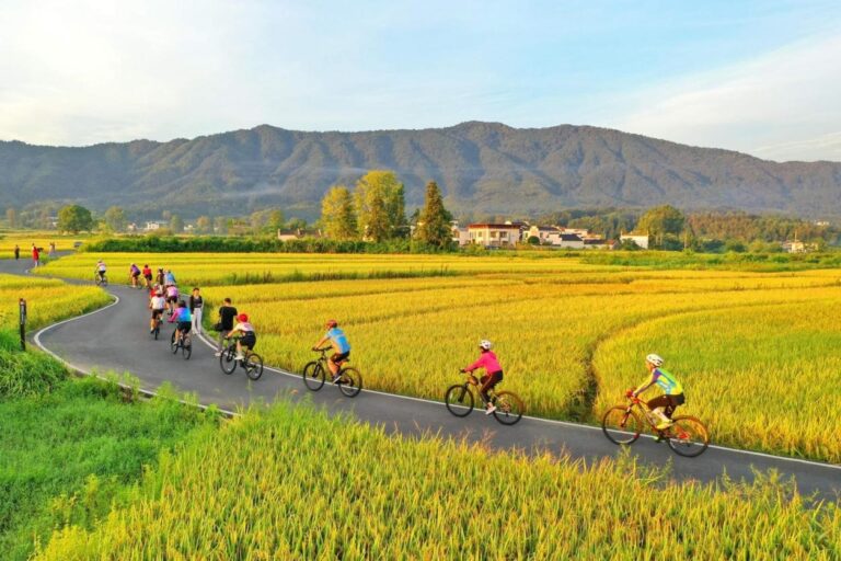 China embraces two-wheel mobility as a green urban transportation solution