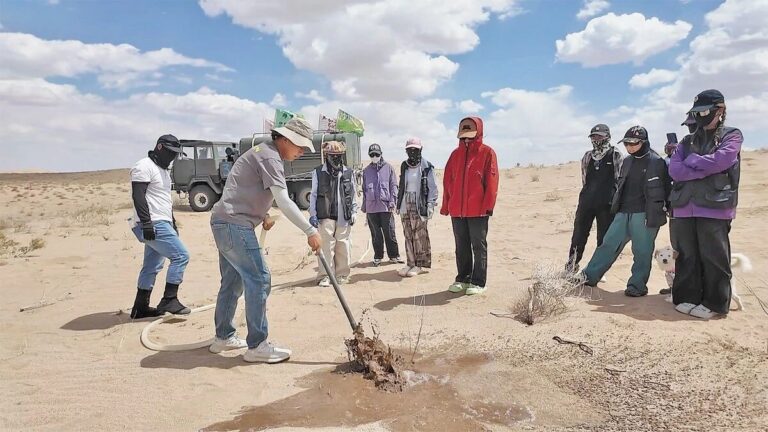 A young Chinese man inspires over 40,000 people to join desertification control