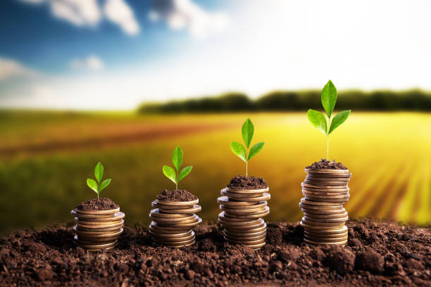 Banks disburse Rs2.58tr in agricultural loans during FY25