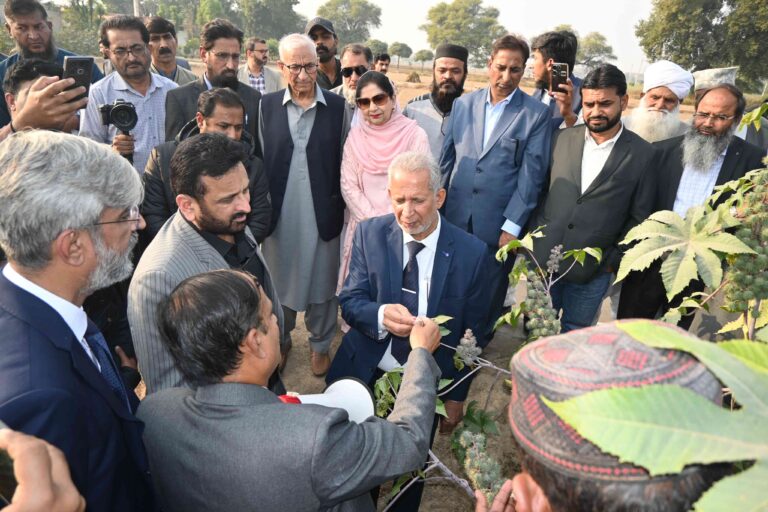 PAEC hosts national field day on castor bean and sesame at NIAB