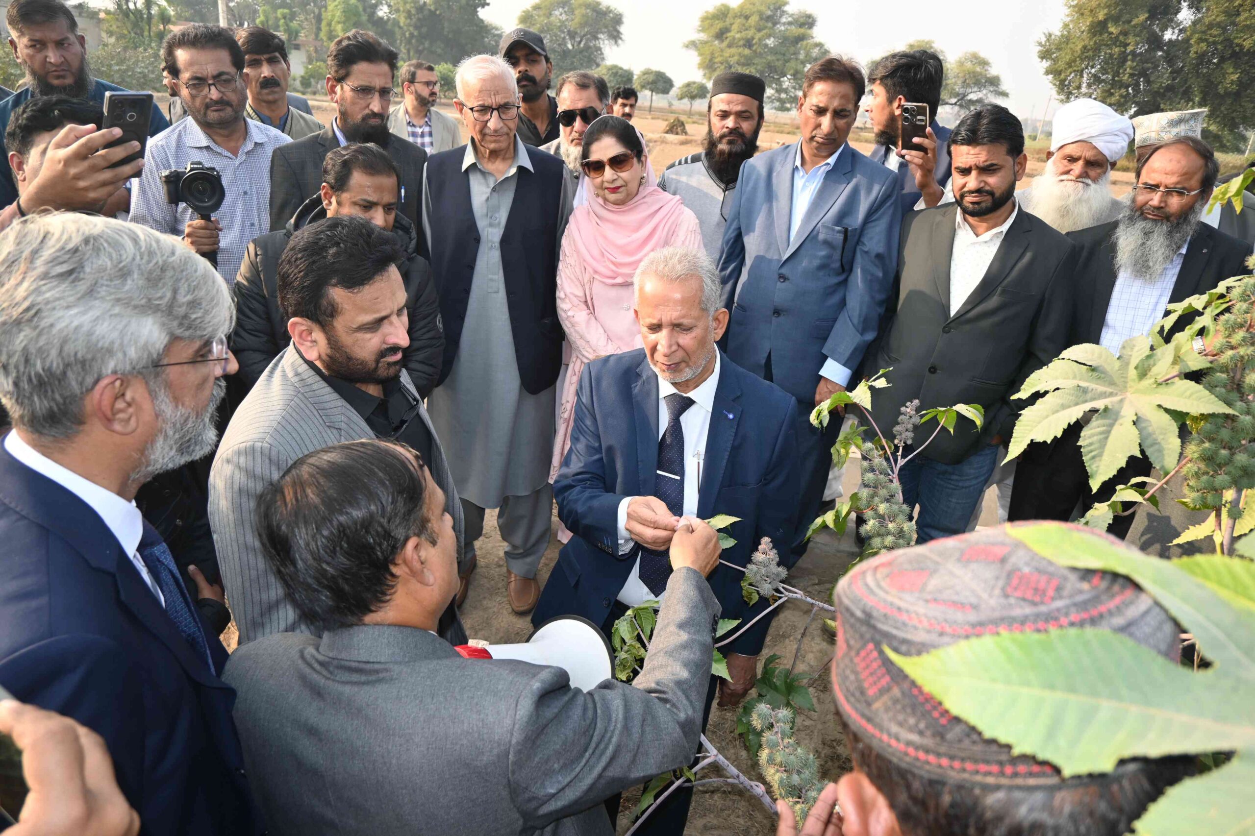 PAEC Holds National Field Day on Castor Bean and Sesame at NIAB
