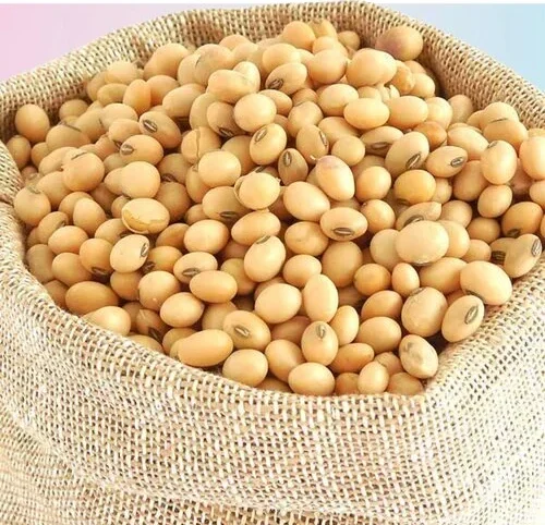 Pakistan hopes to cut soybean import bill by 50pc in next five years