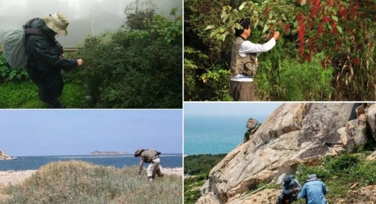 Shanghai seed bank hits 100 million samples in biodiversity conservation push