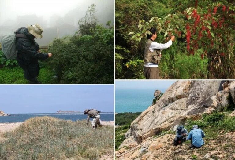 Shanghai seed bank hits 100 million samples in biodiversity conservation push