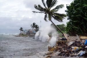 Scientists analyzing population and environmental data linked to warnings about 2026