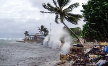 Scientists analyzing population and environmental data linked to warnings about 2026